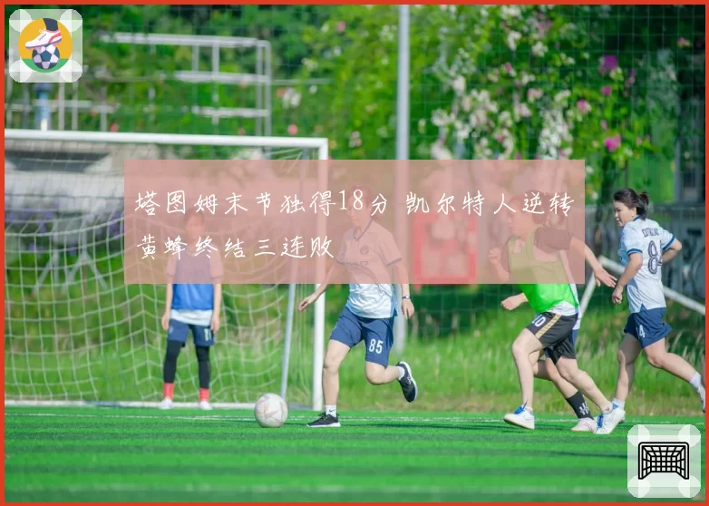 塔图姆末节独得18分 凯尔特人逆转黄蜂终结三连败