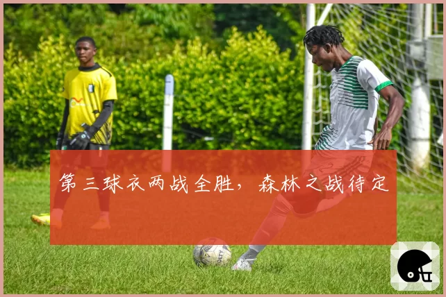 第三球衣两战全胜,森林之战待定