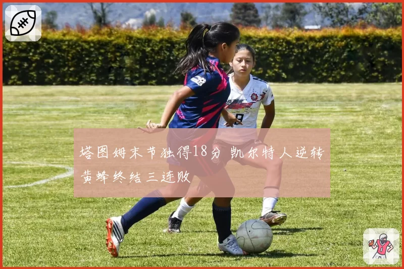 塔图姆末节独得18分 凯尔特人逆转黄蜂终结三连败
