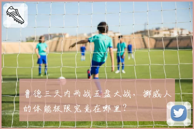 鲁德三天内两战五盘大战，挪威人的体能极限究竟在哪里？