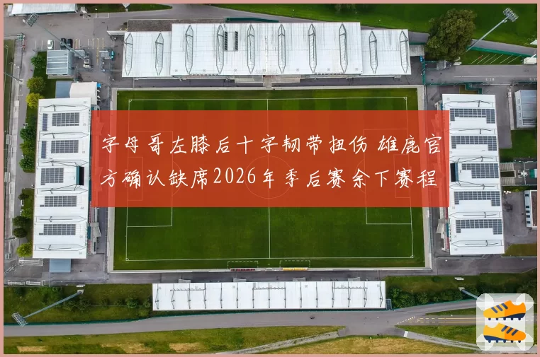 字母哥左膝后十字韧带扭伤 雄鹿官方确认缺席2026年季后赛余下赛程